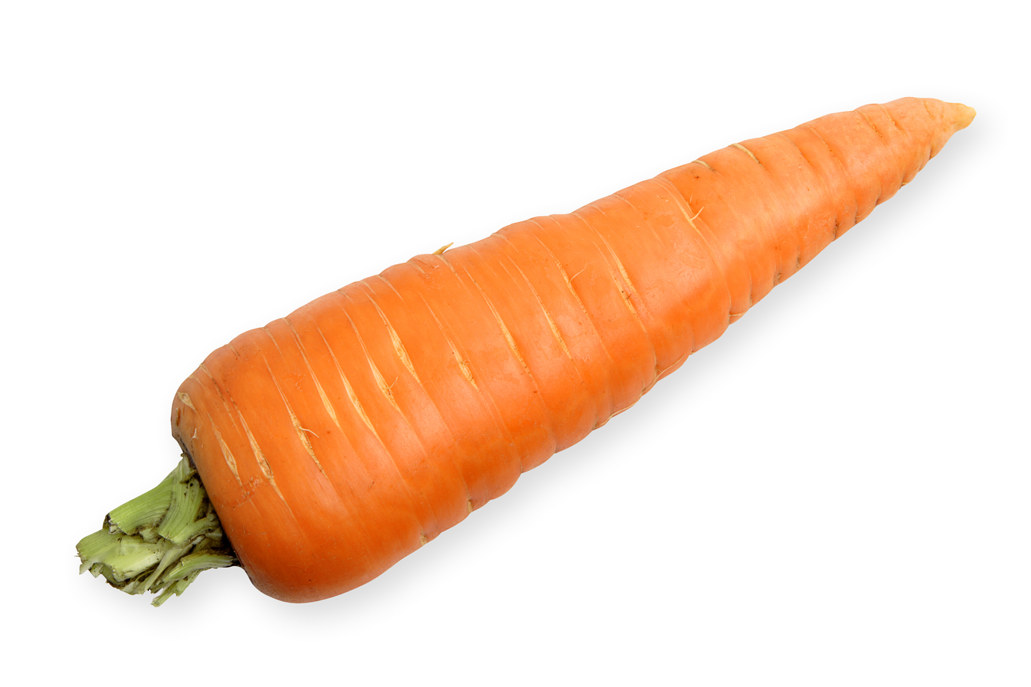 One large carrot, isolated on a white background. (Clipping path included.)